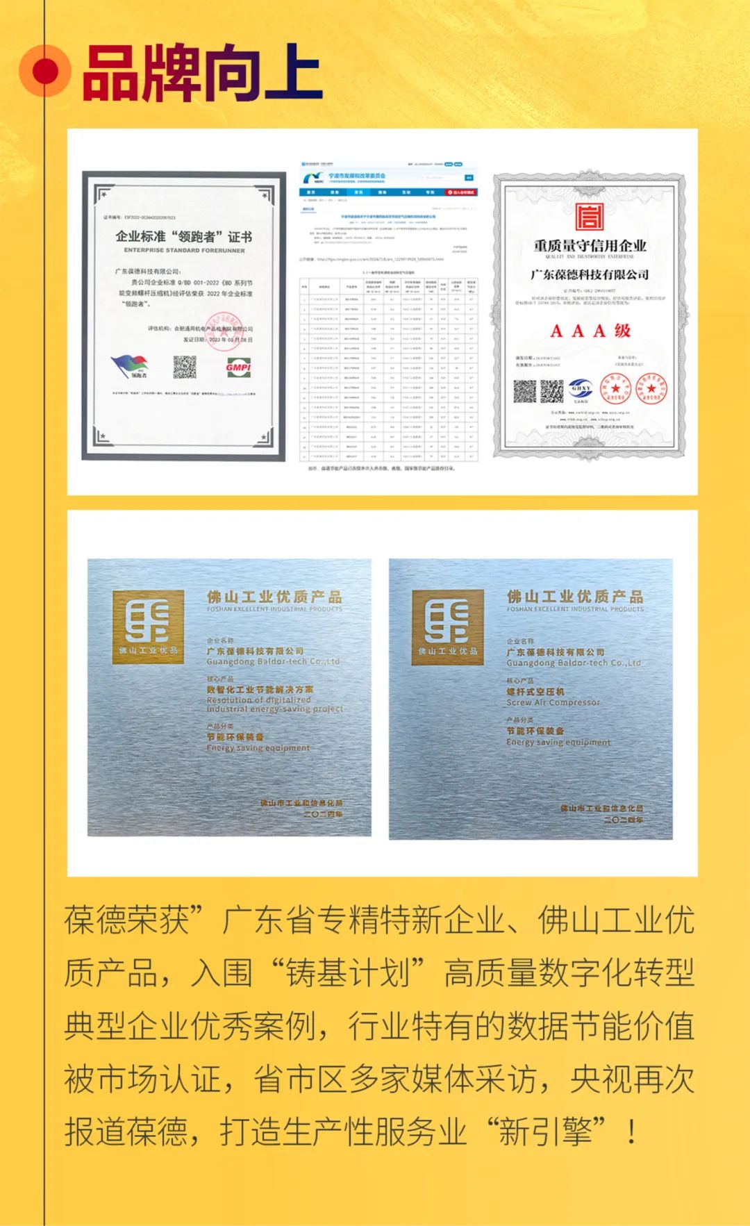 沐光而行，美好启新！葆德科技2024年度发展概览！